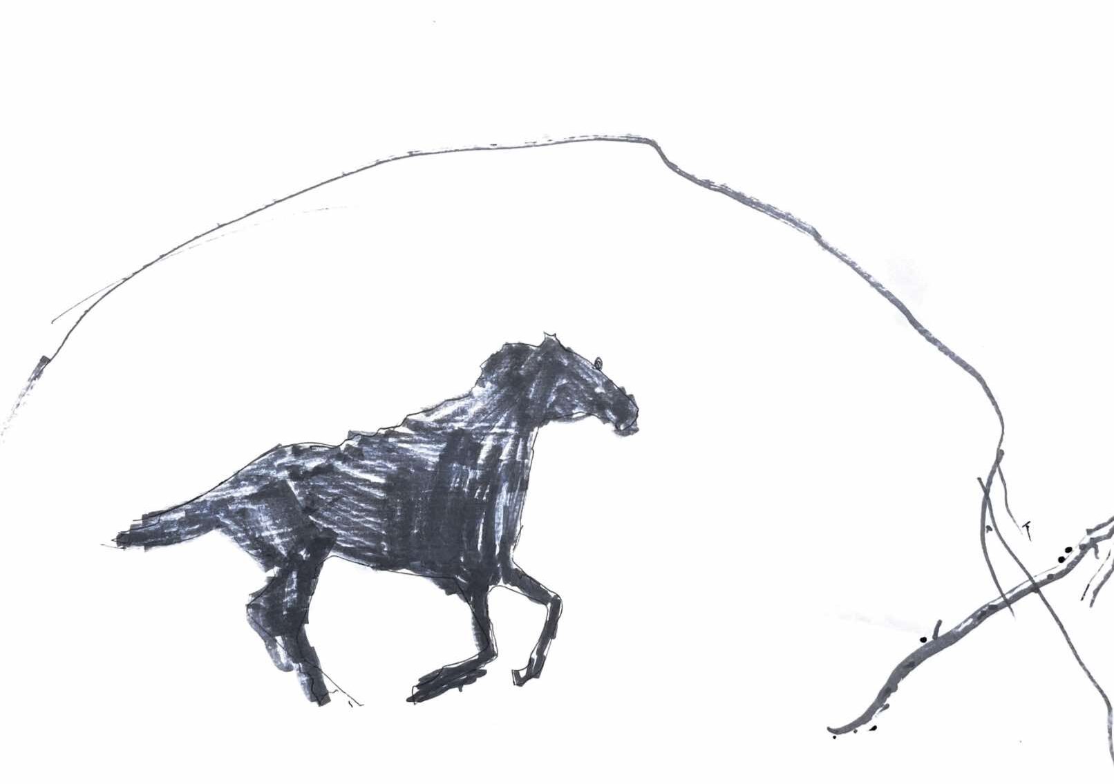467241264_915264414034766_3461870734844205162_n